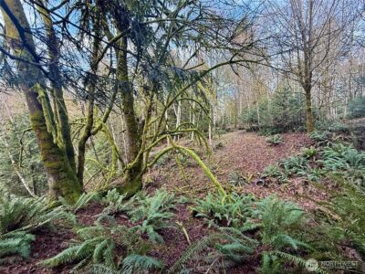 705 E Colonel Wright Road , Shelton, WA 98584 - Photo 8