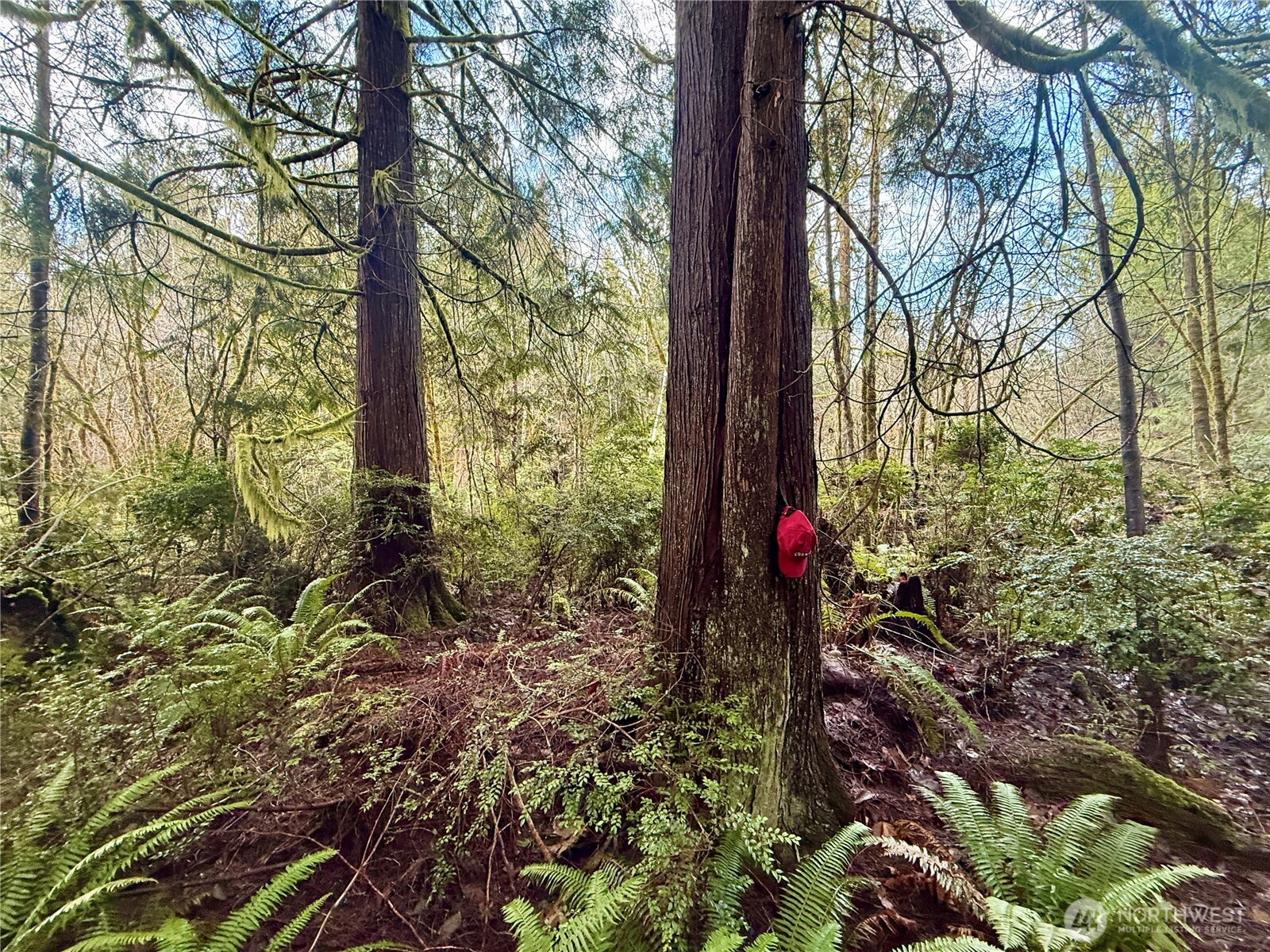 705 E Colonel Wright Road , Shelton, WA 98584