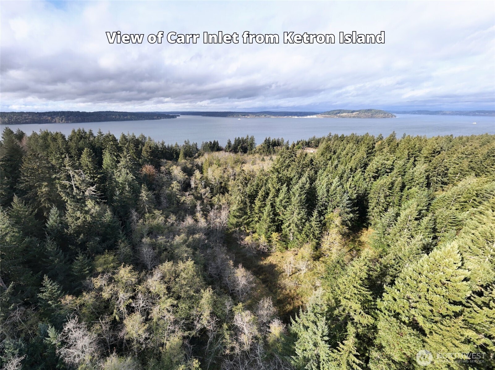 10909 W Morris Boulevard , Steilacoom, WA 98388