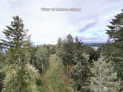 10909 W Morris Boulevard , Steilacoom, WA 98388 - Photo 18