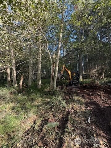 10909 W Morris Boulevard , Steilacoom, WA 98388