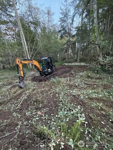 10909 W Morris Boulevard , Steilacoom, WA 98388