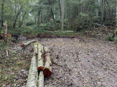 10909 W Morris Boulevard , Steilacoom, WA 98388 - Photo 22