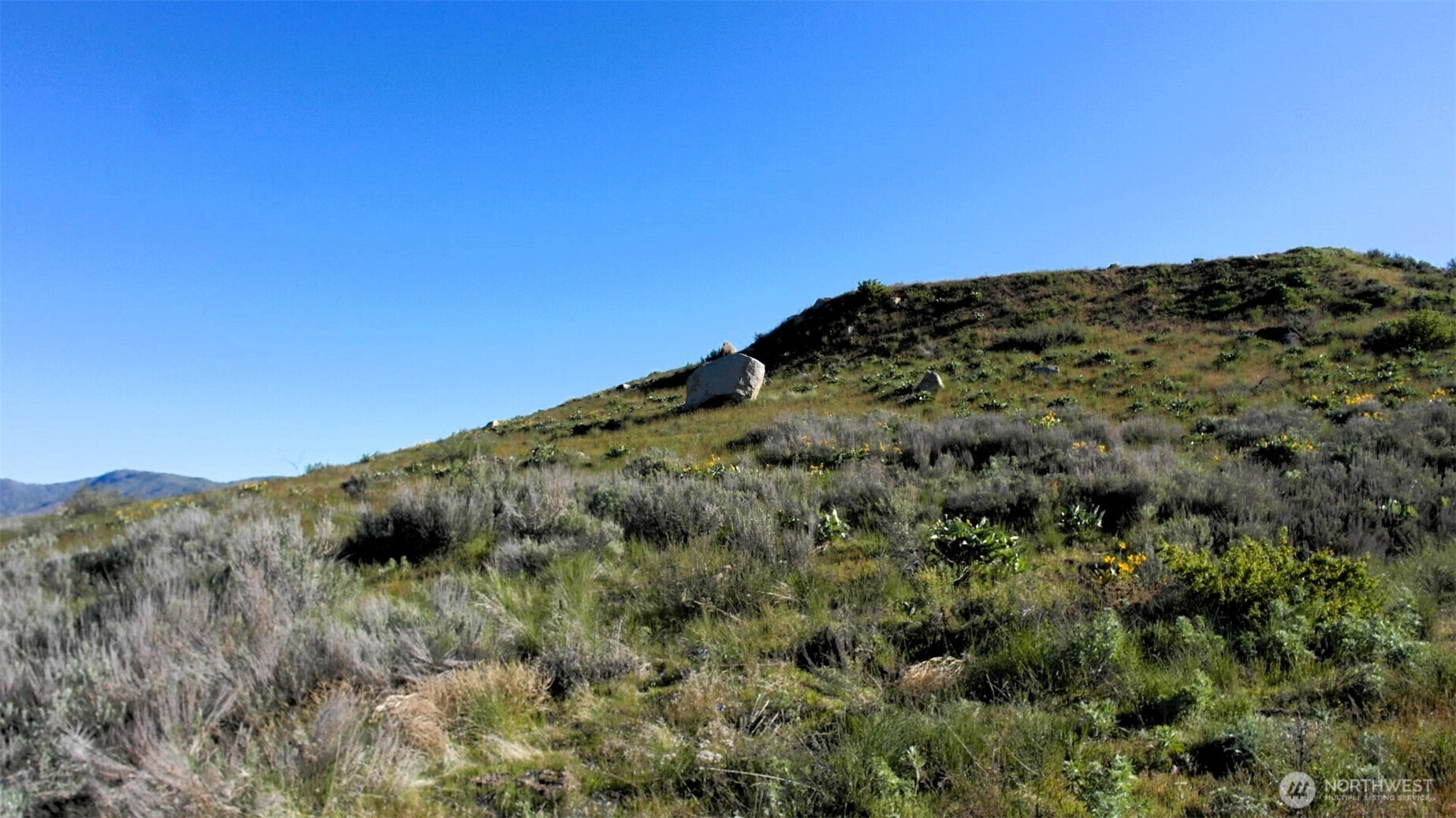 31 Cowboy Road , Methow, WA 98834