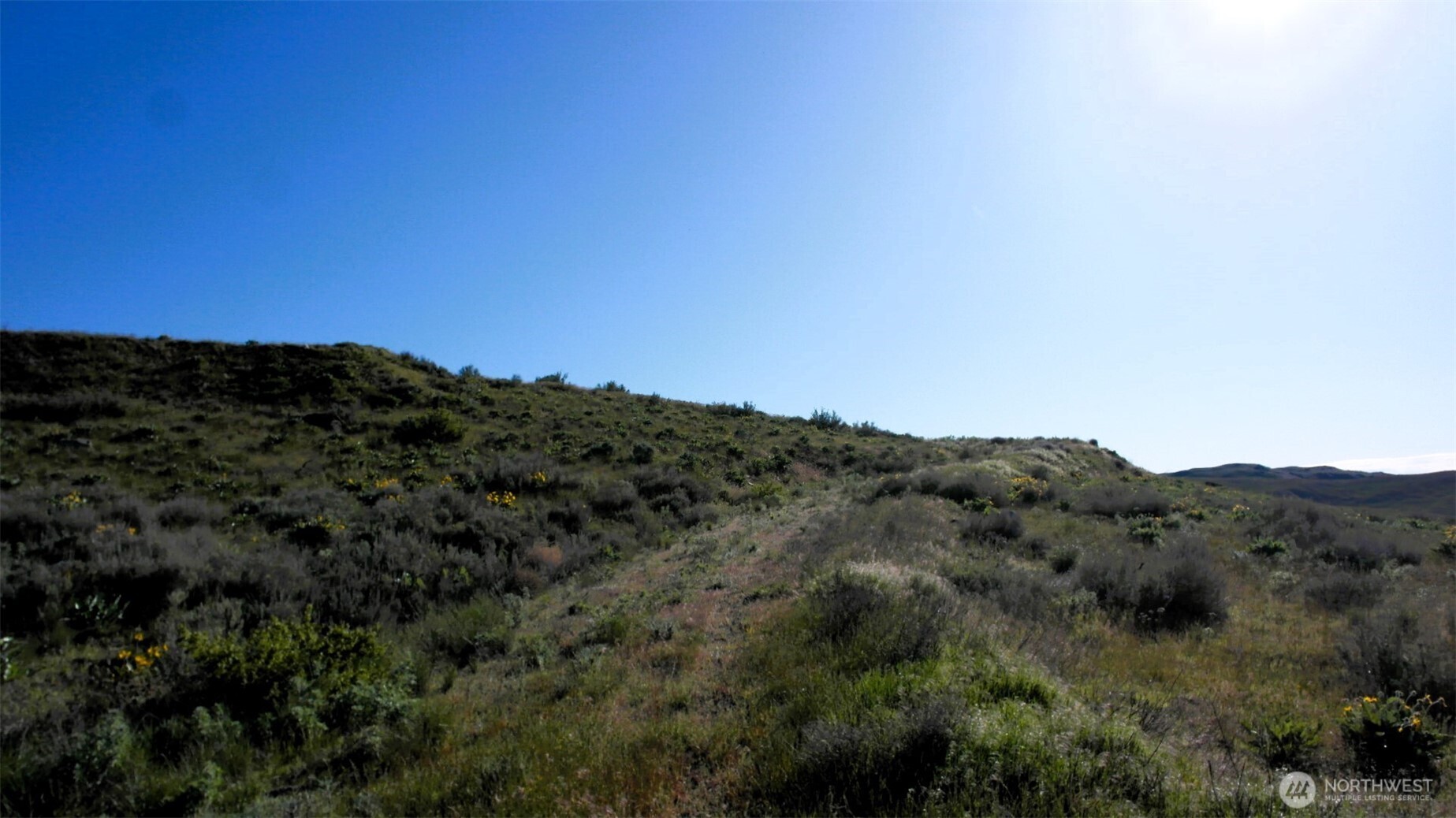 31 Cowboy Road , Methow, WA 98834