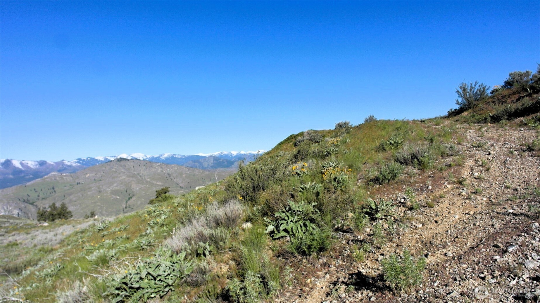 31 Cowboy Road , Methow, WA 98834