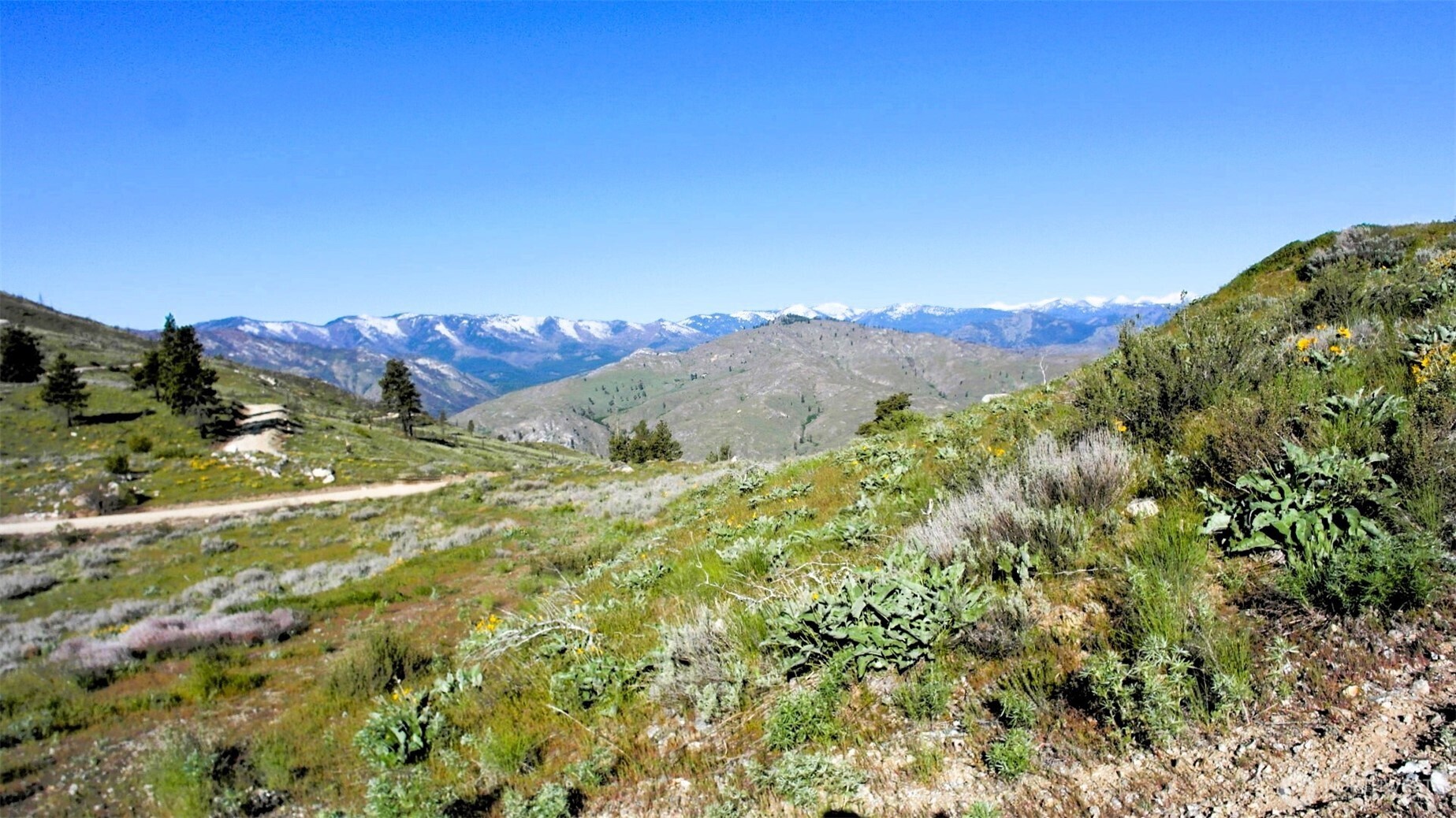 31 Cowboy Road , Methow, WA 98834