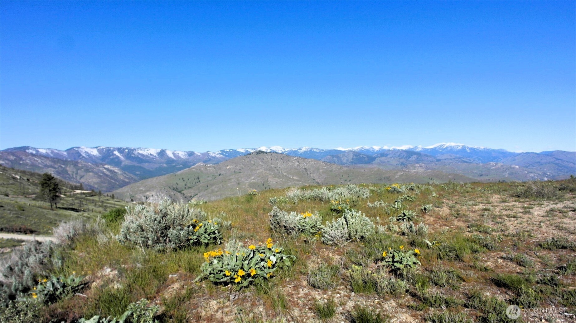 31 Cowboy Road , Methow, WA 98834