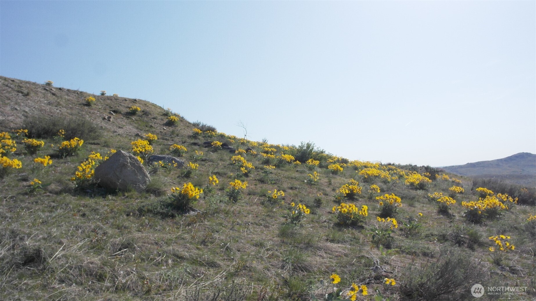 31 Cowboy Road , Methow, WA 98834