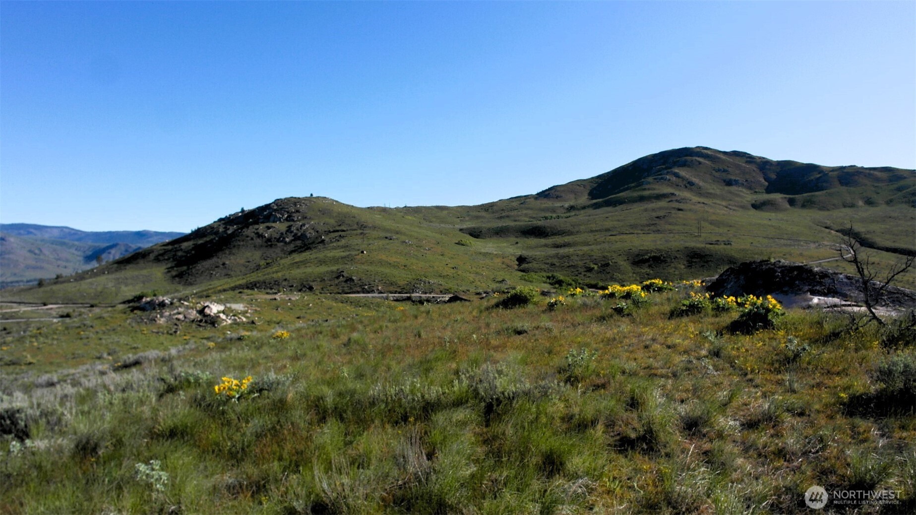 31 Cowboy Road , Methow, WA 98834