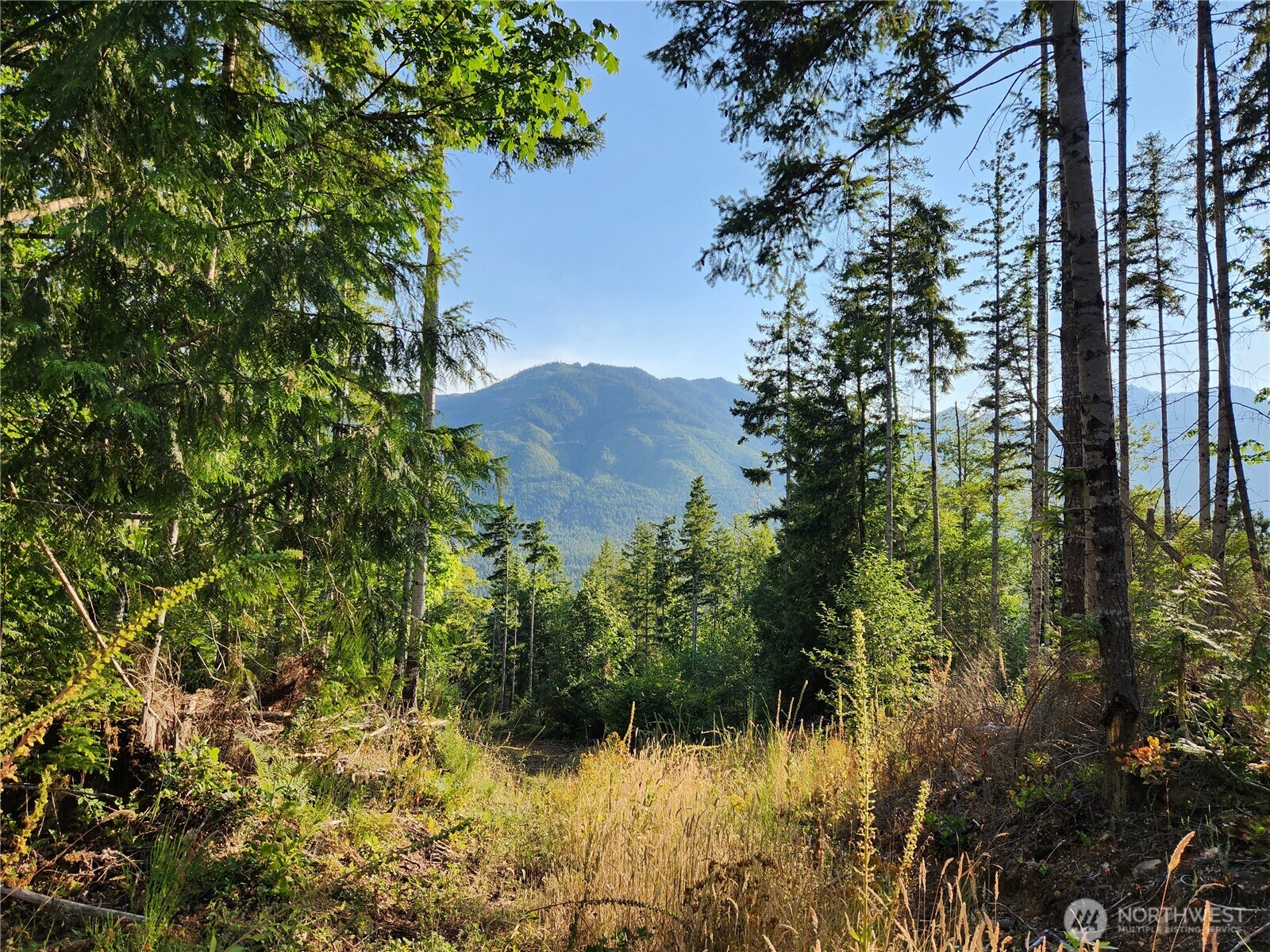 0 Rocky Brook Rd #Lot I, Brinnon, WA 98320