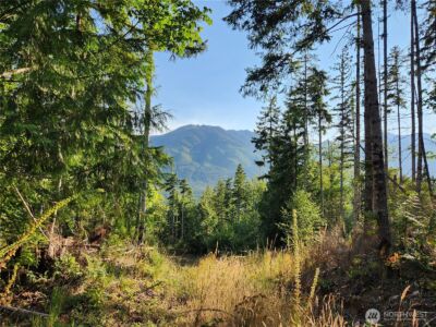 0 Rocky Brook Rd #Lot I, Brinnon, WA 98320
