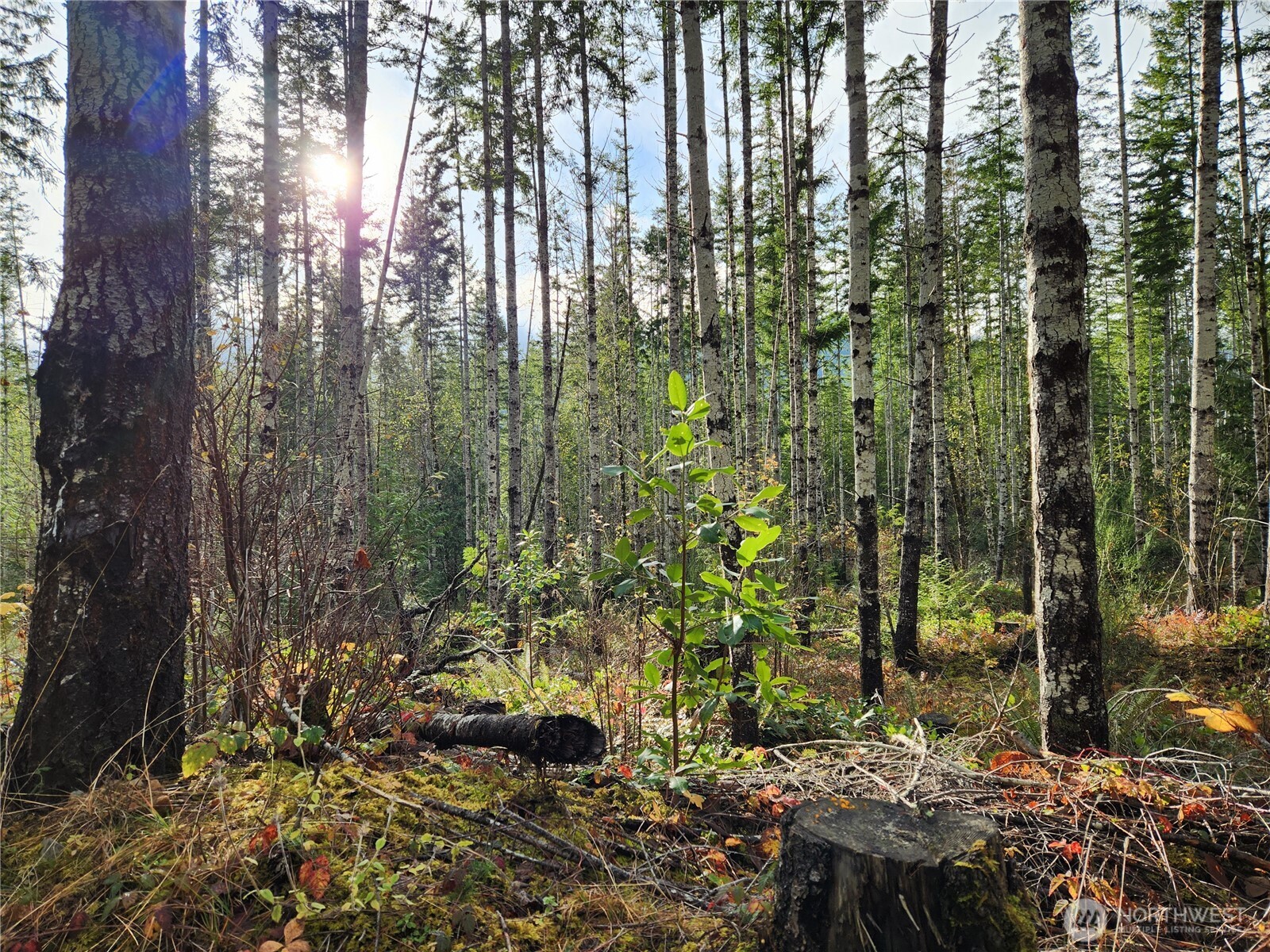 0 Rocky Brook Rd #Lot I, Brinnon, WA 98320