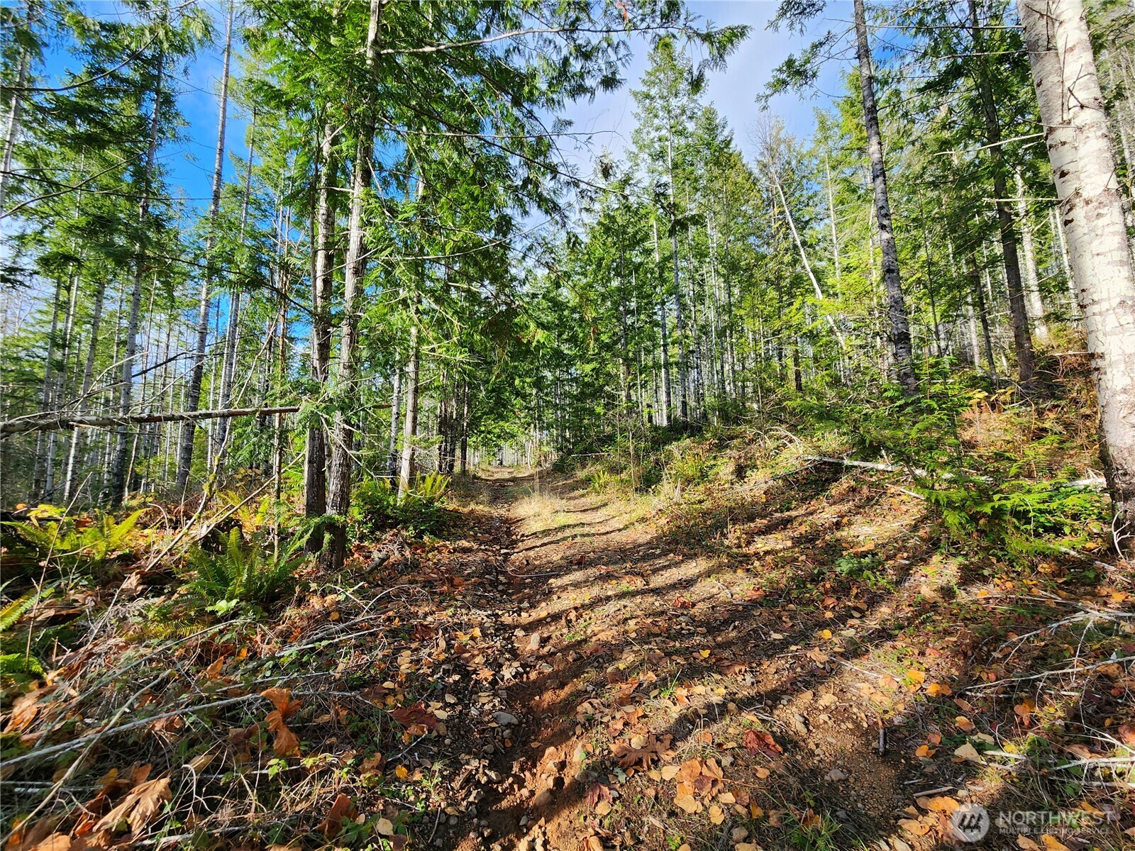 0 Rocky Brook Rd #Lot I, Brinnon, WA 98320