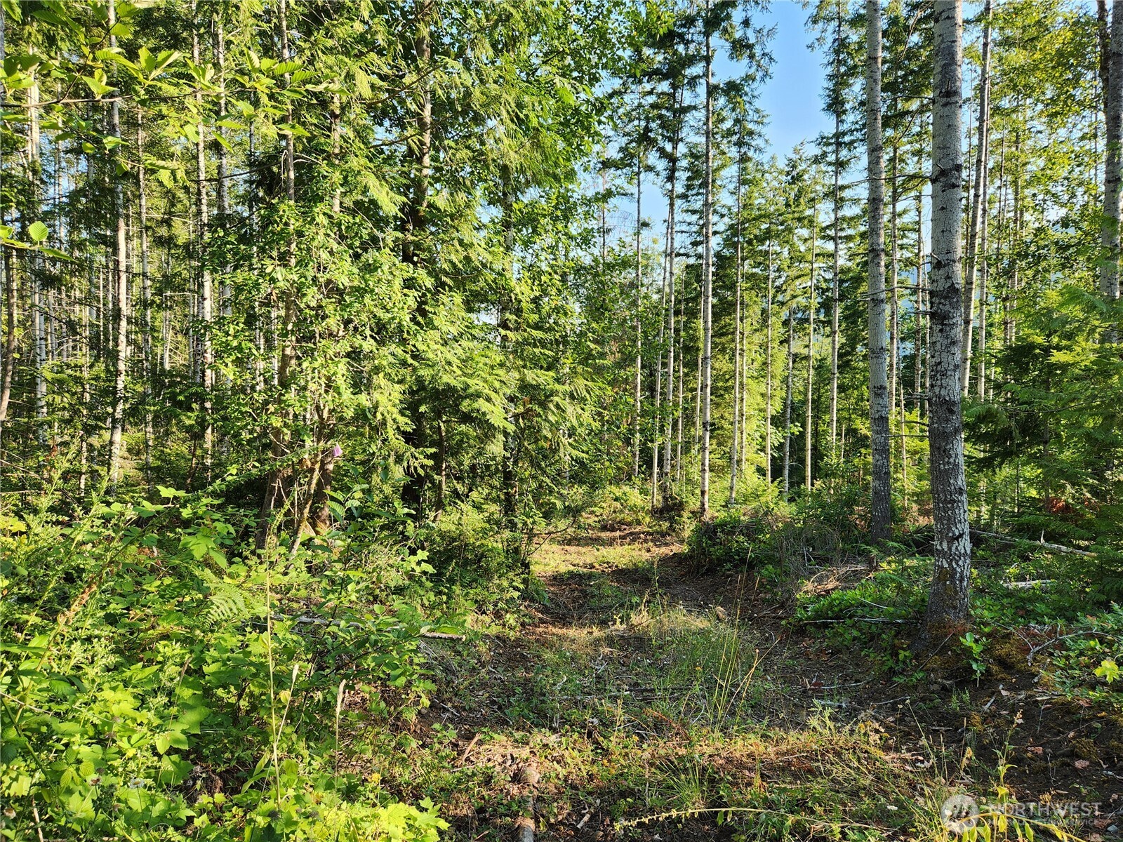 0 Rocky Brook Rd #Lot I, Brinnon, WA 98320