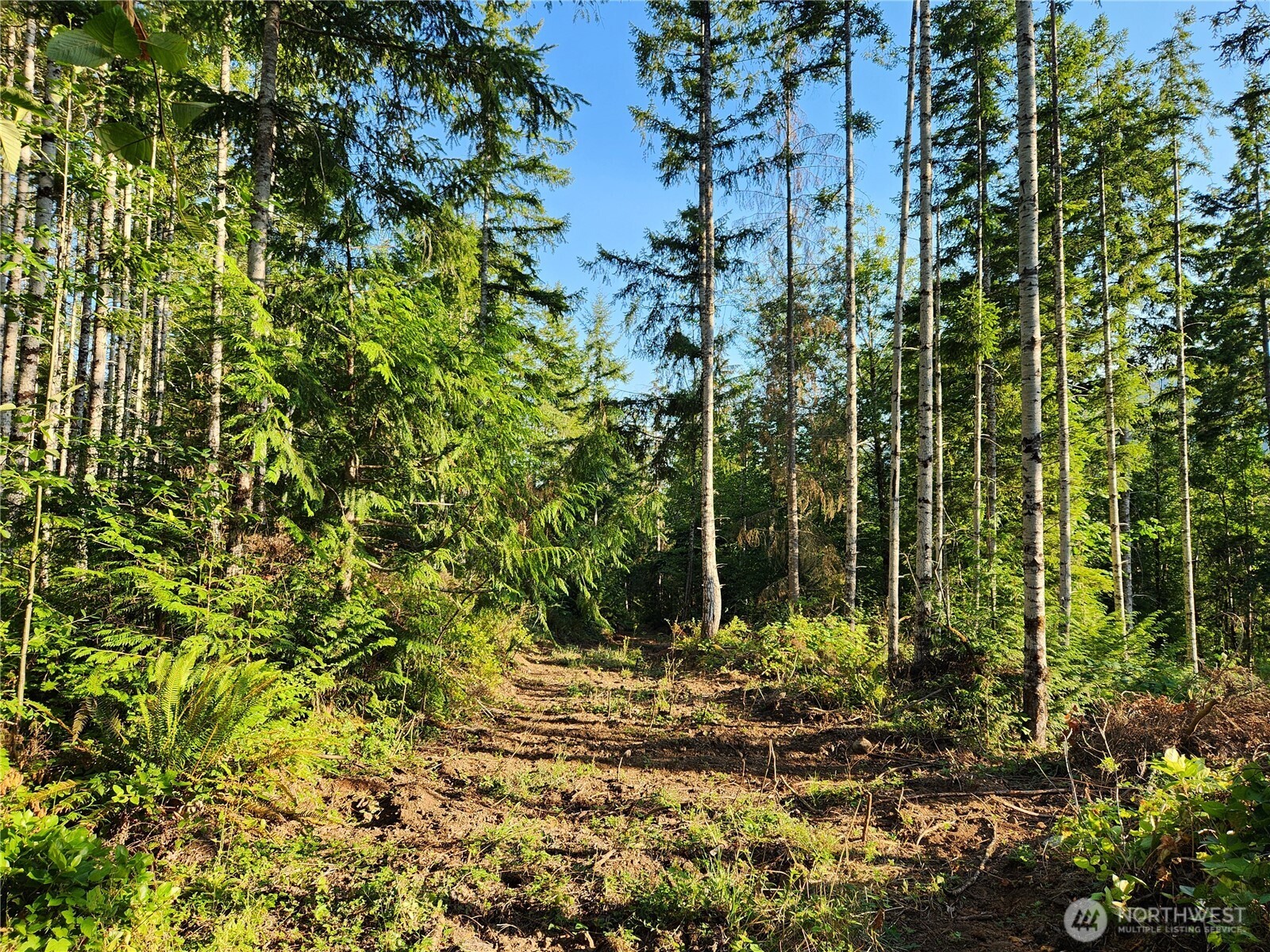 0 Rocky Brook Rd #Lot I, Brinnon, WA 98320