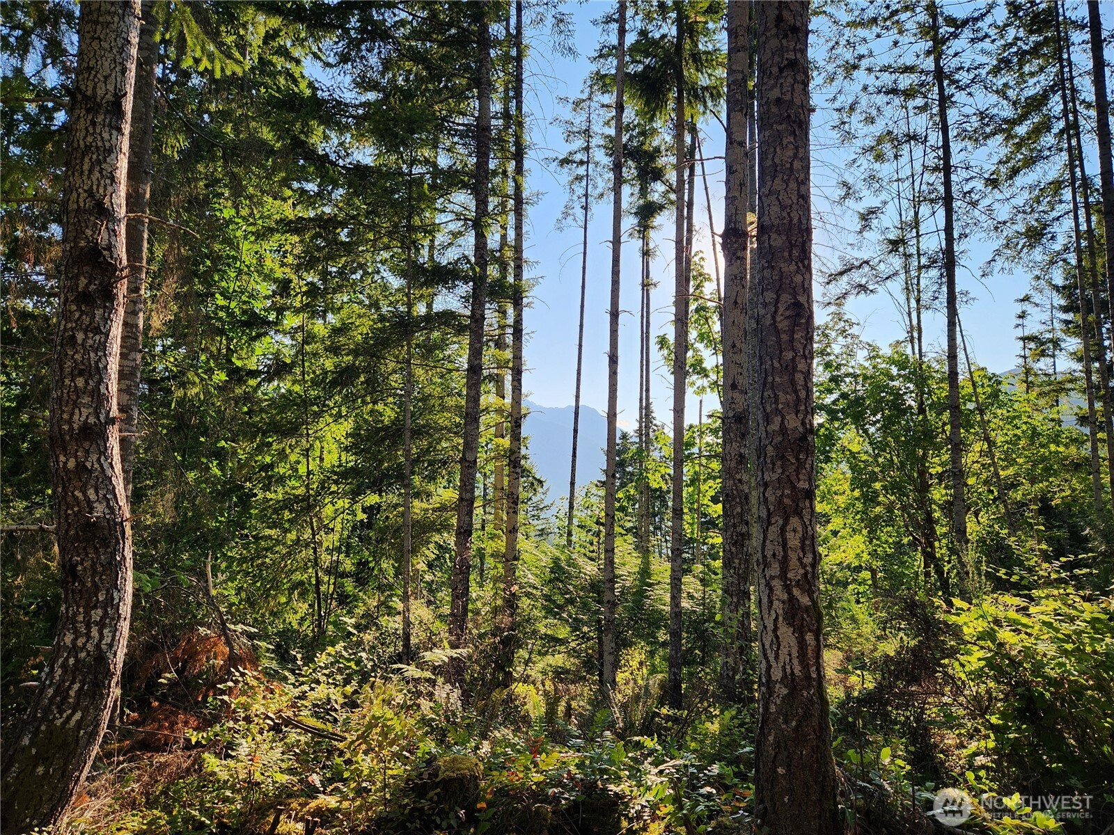0 Rocky Brook Rd #Lot I, Brinnon, WA 98320