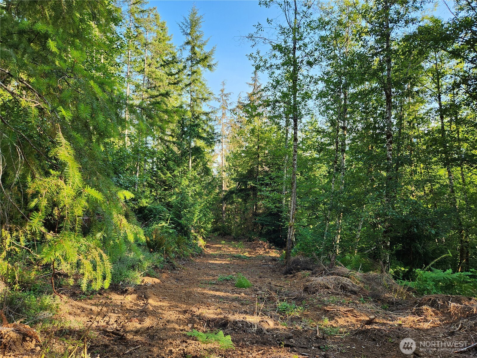 0 Rocky Brook Rd #Lot I, Brinnon, WA 98320