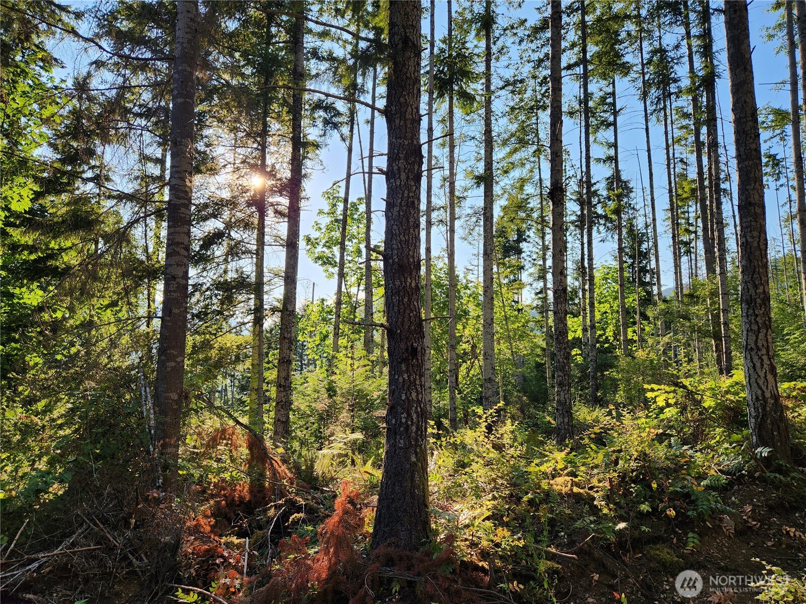 0 Rocky Brook Rd #Lot I, Brinnon, WA 98320