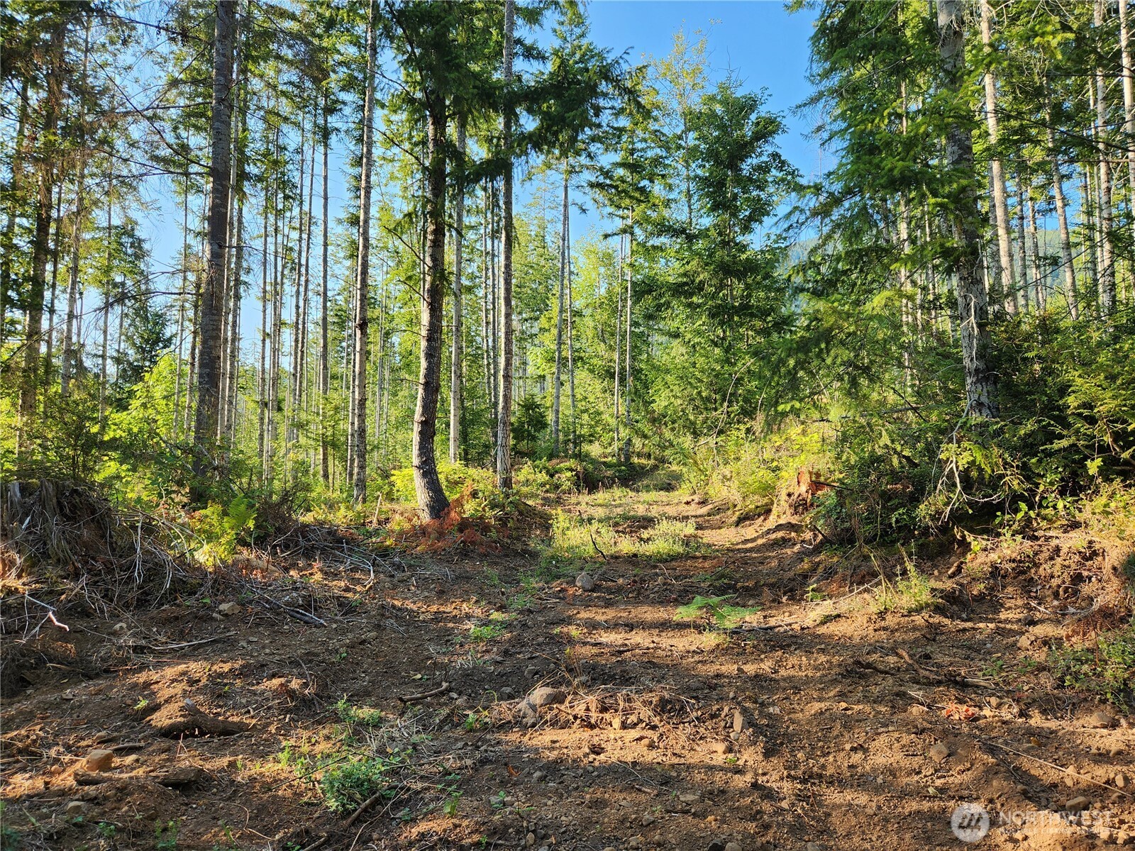 0 Rocky Brook Rd #Lot I, Brinnon, WA 98320