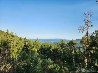 0 Rocky Brook Road #Lot J, Brinnon, WA 98320