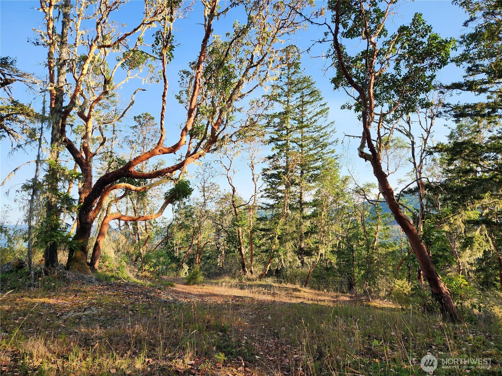 0 Rocky Brook Road #Lot J, Brinnon, WA 98320