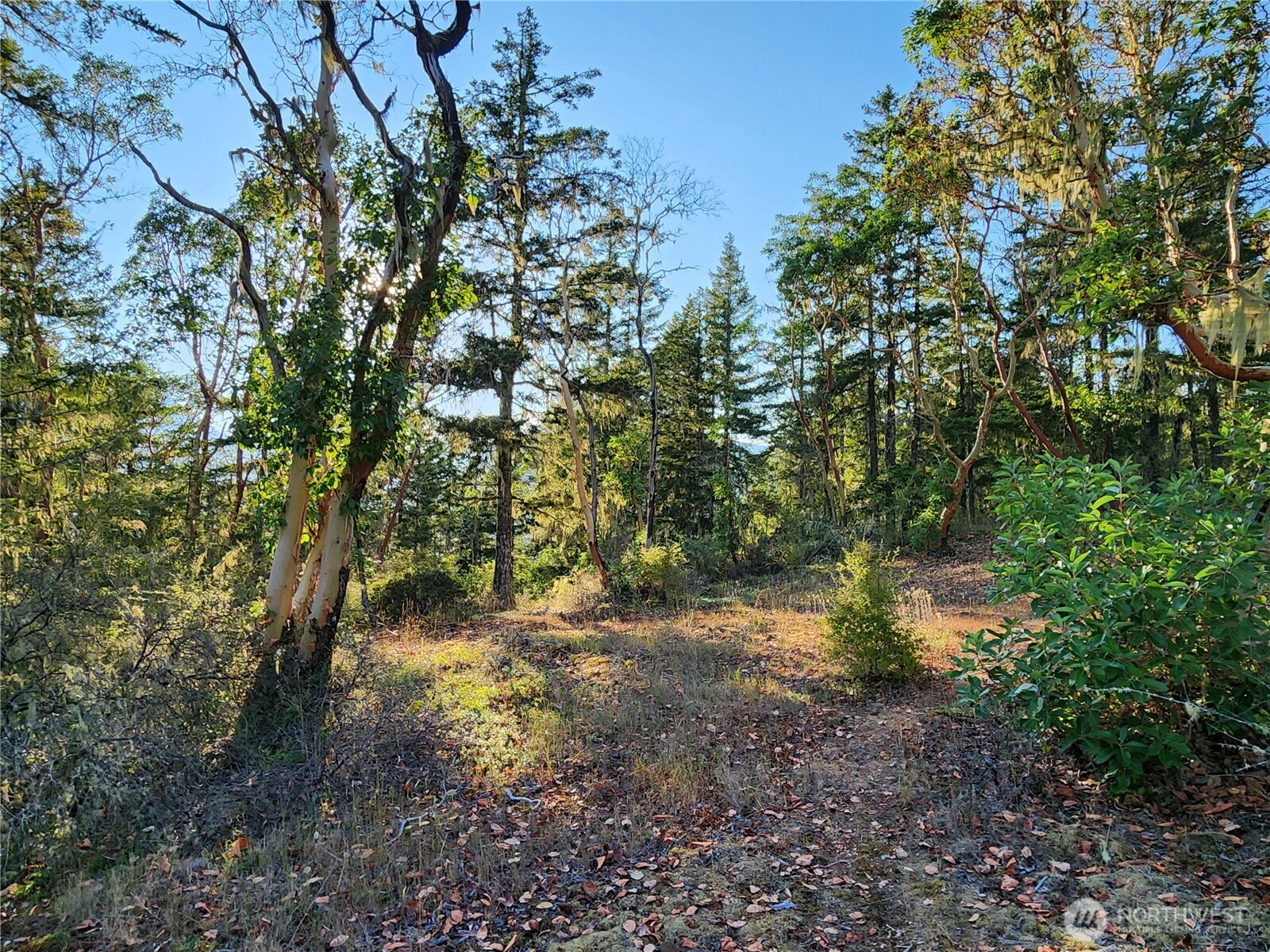 0 Rocky Brook Road #Lot J, Brinnon, WA 98320