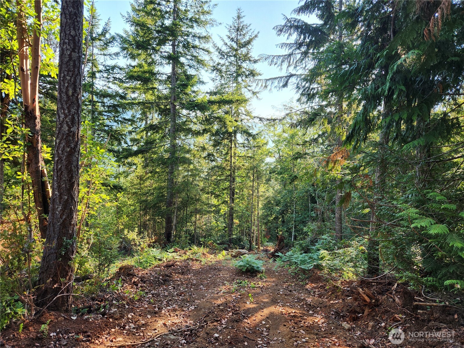 0 Rocky Brook Road #Lot J, Brinnon, WA 98320