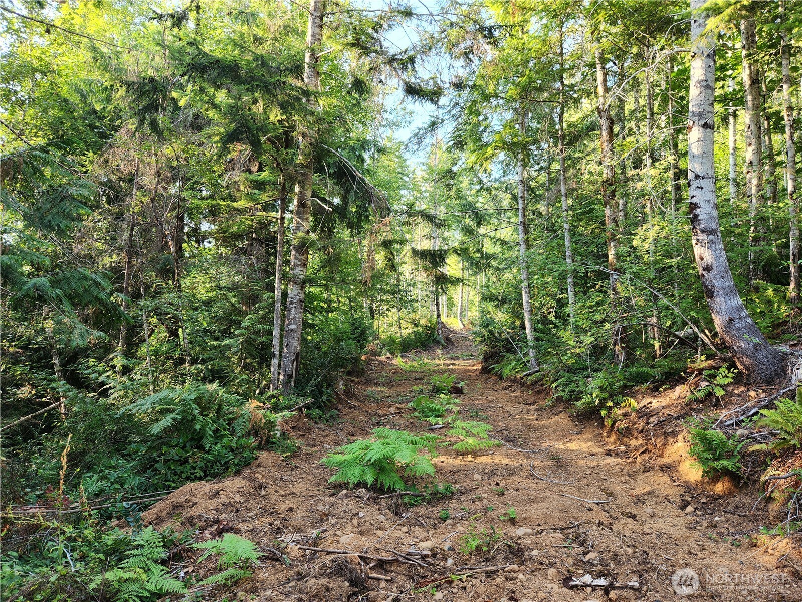0 Rocky Brook Road #Lot J, Brinnon, WA 98320