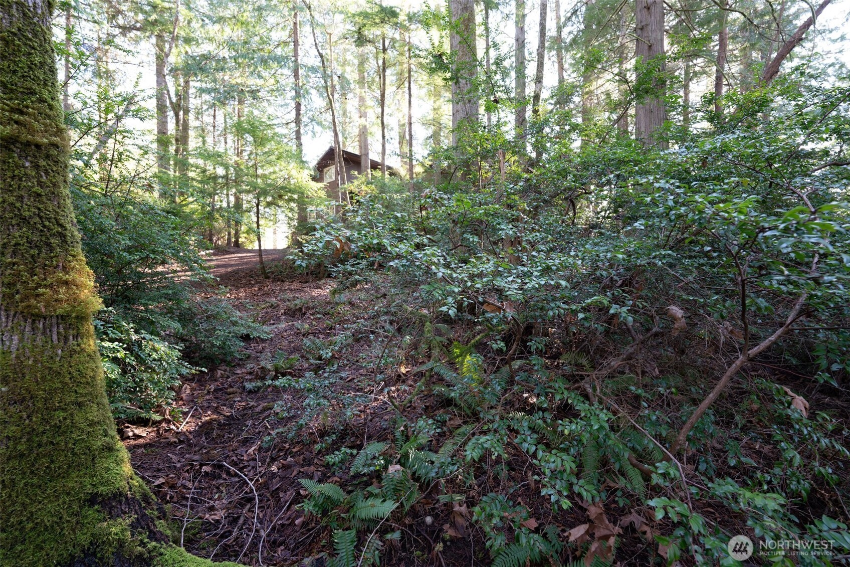 432 E Pointes Drive E, Shelton, WA 98584