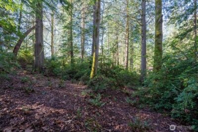 432 E Pointes Drive E, Shelton, WA 98584 - Photo 13