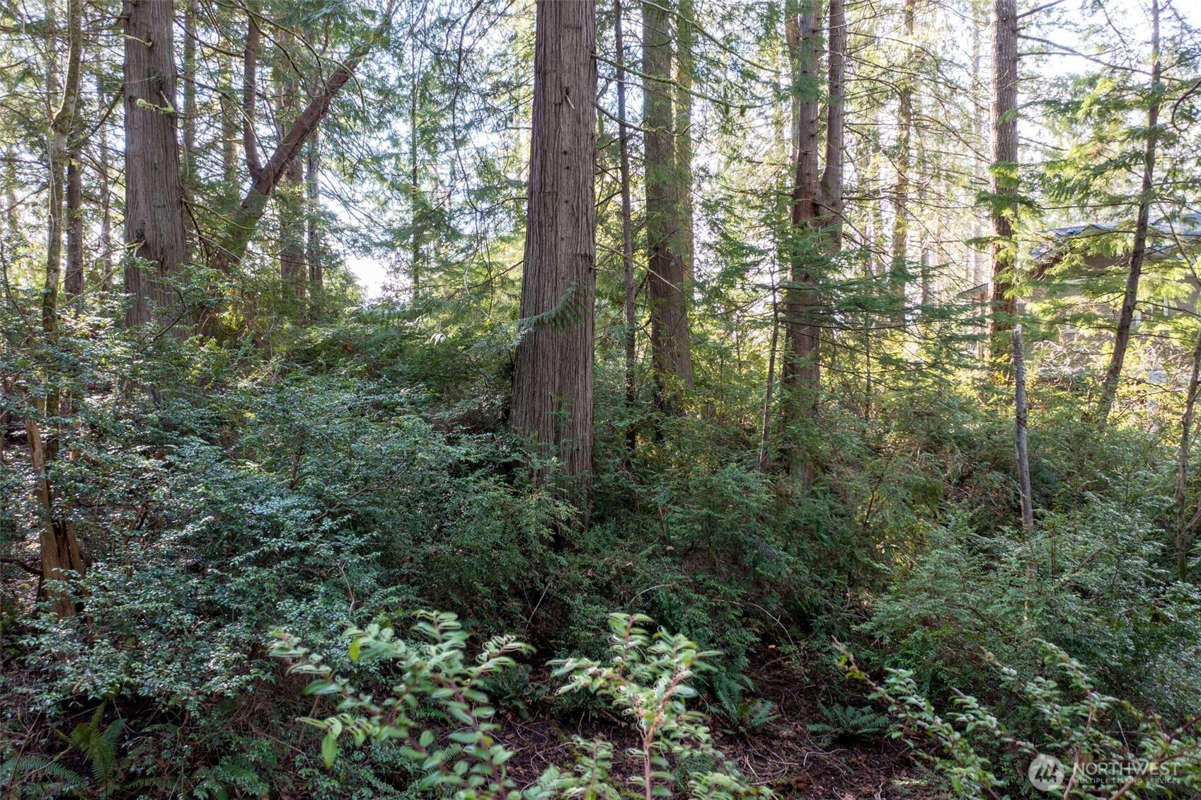432 E Pointes Drive E, Shelton, WA 98584