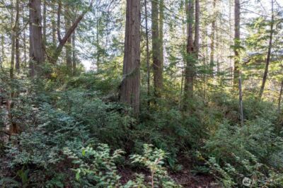 432 E Pointes Drive E, Shelton, WA 98584 - Photo 3