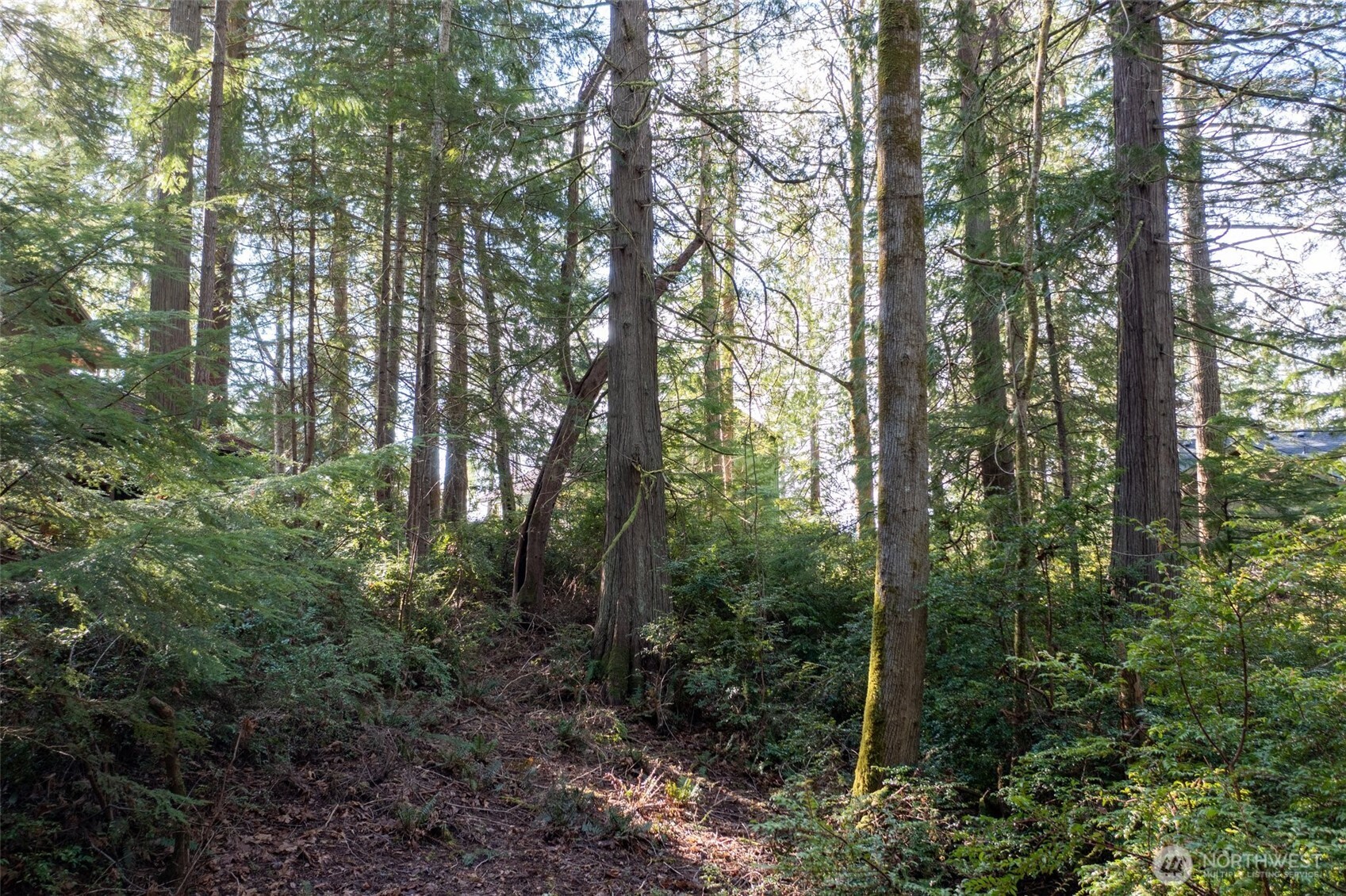 432 E Pointes Drive E, Shelton, WA 98584