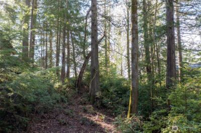 432 E Pointes Drive E, Shelton, WA 98584 - Photo 4