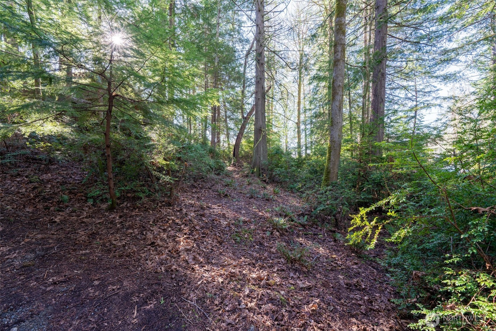 432 E Pointes Drive E, Shelton, WA 98584