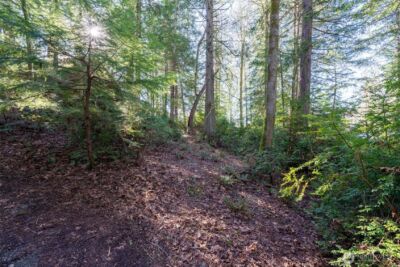 432 E Pointes Drive E, Shelton, WA 98584 - Photo 6