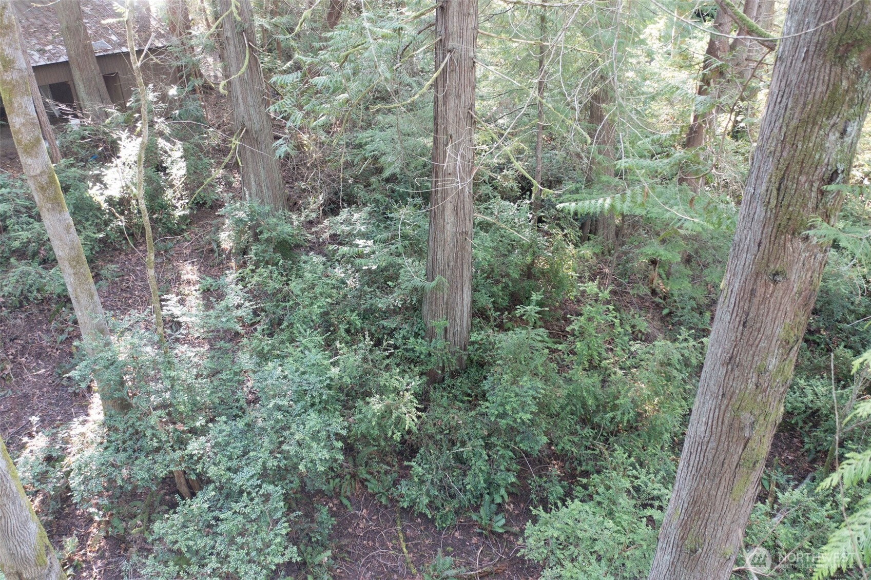 432 E Pointes Drive E, Shelton, WA 98584