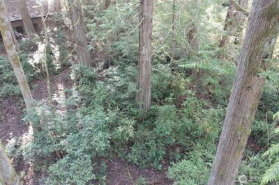 432 E Pointes Drive E, Shelton, WA 98584 - Photo 7
