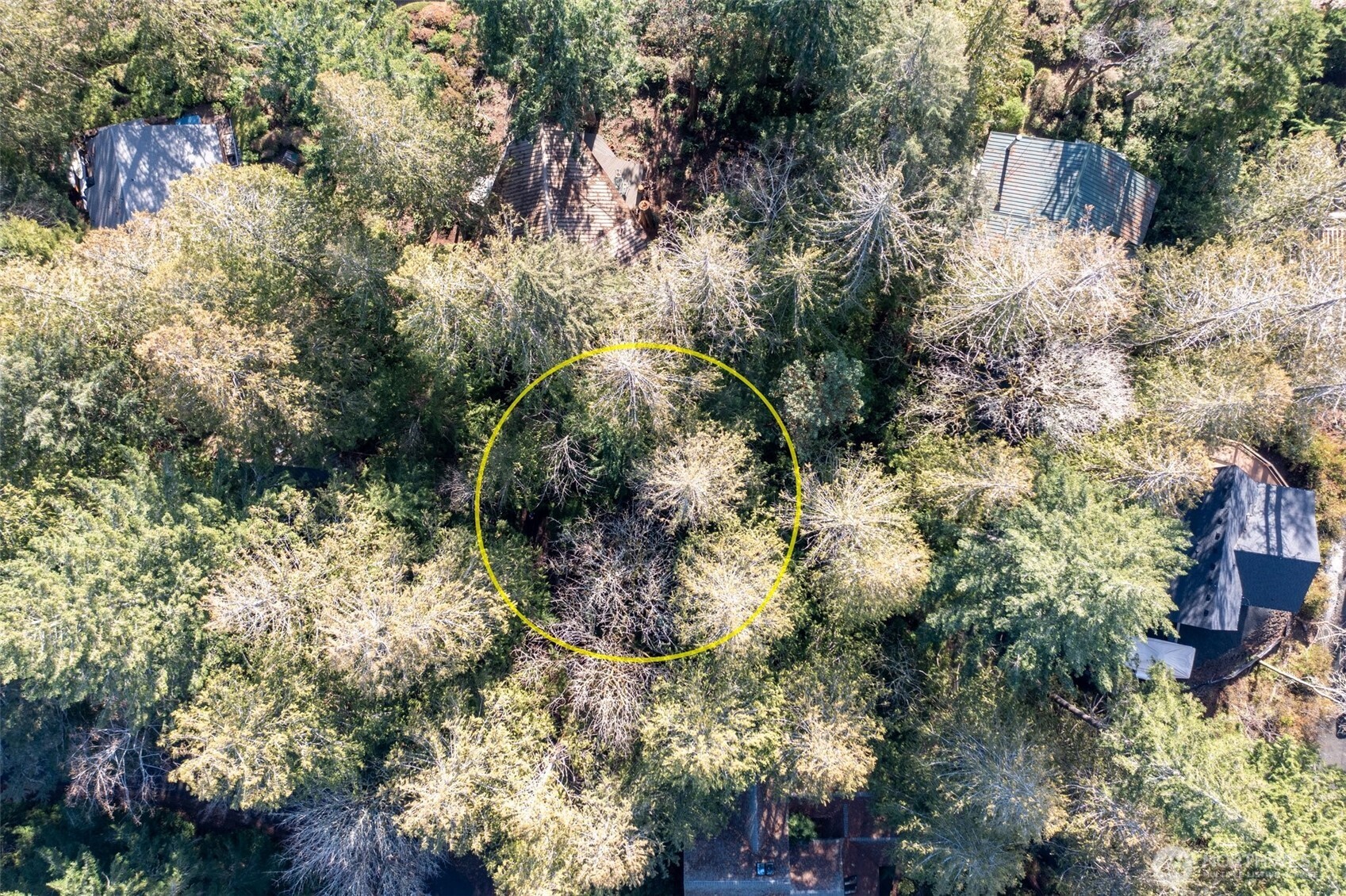 432 E Pointes Drive E, Shelton, WA 98584