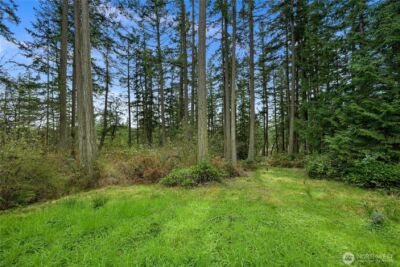 6710 Deer Lane , Anacortes, WA 98221 - Photo 35