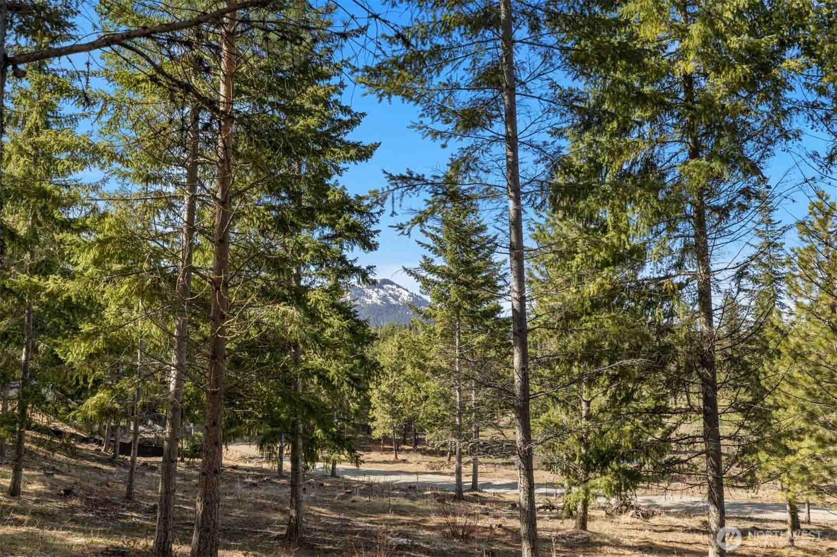 64 Liberty Bell Lane , Cle Elum, WA 98922