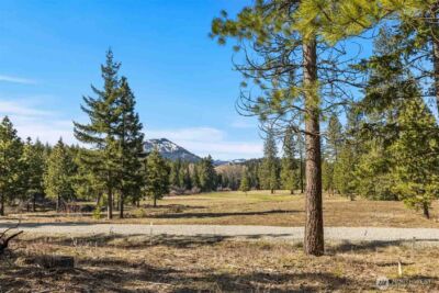 64 Liberty Bell Lane , Cle Elum, WA 98922 - Photo 2