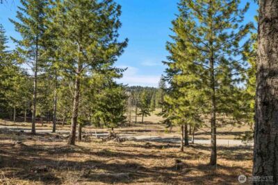 64 Liberty Bell Lane , Cle Elum, WA 98922 - Photo 5
