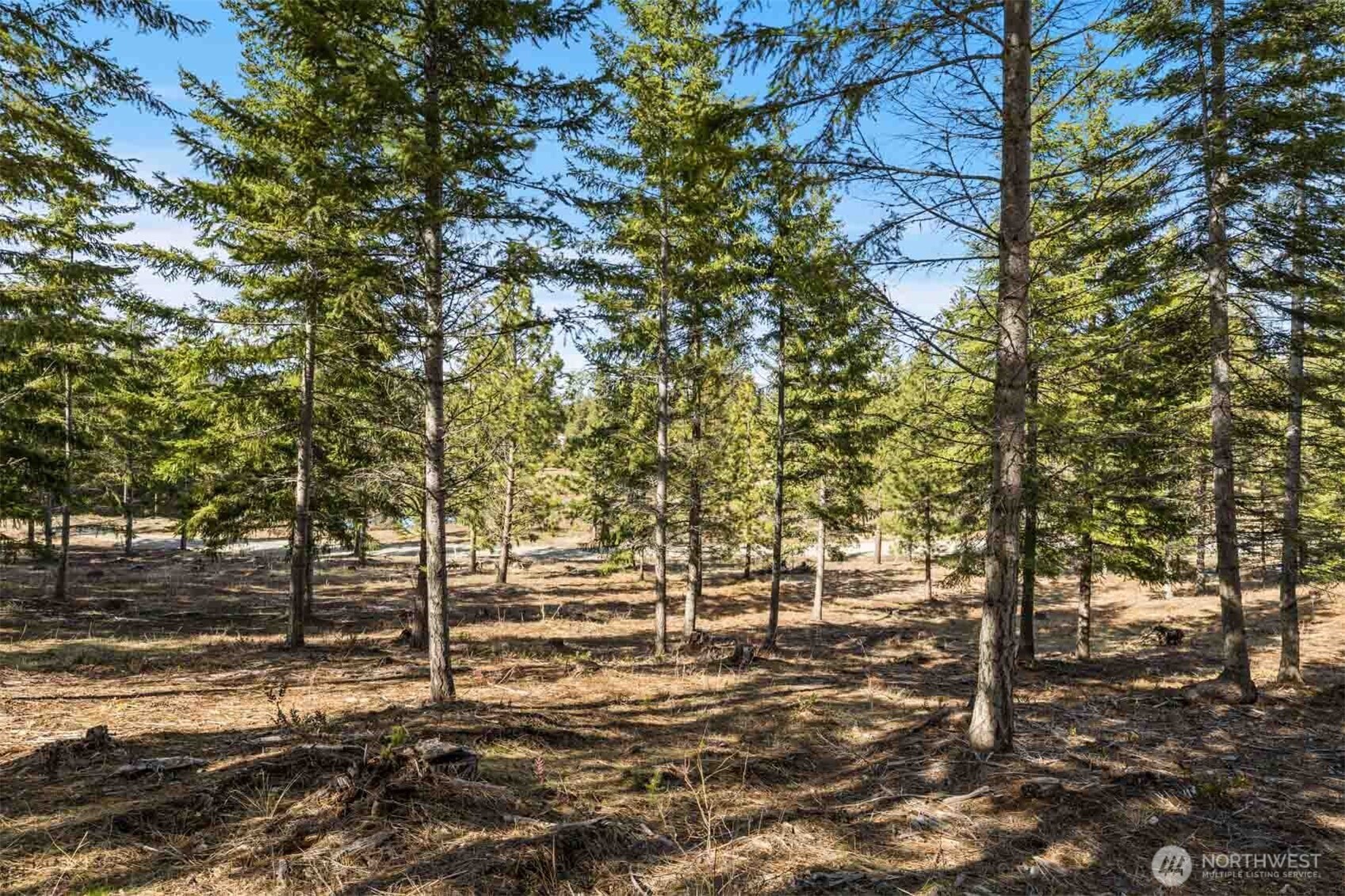 64 Liberty Bell Lane , Cle Elum, WA 98922