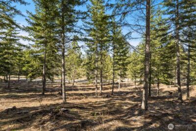 64 Liberty Bell Lane , Cle Elum, WA 98922 - Photo 6