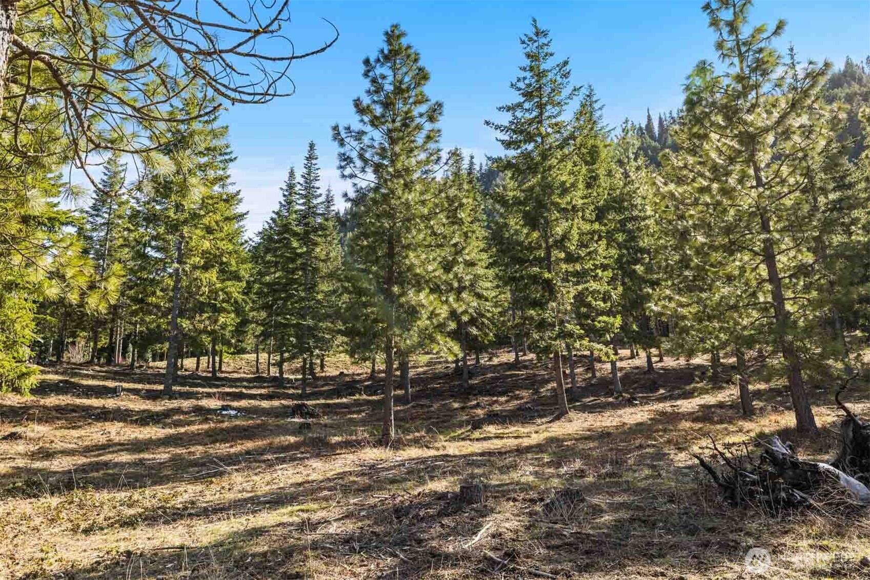 64 Liberty Bell Lane , Cle Elum, WA 98922