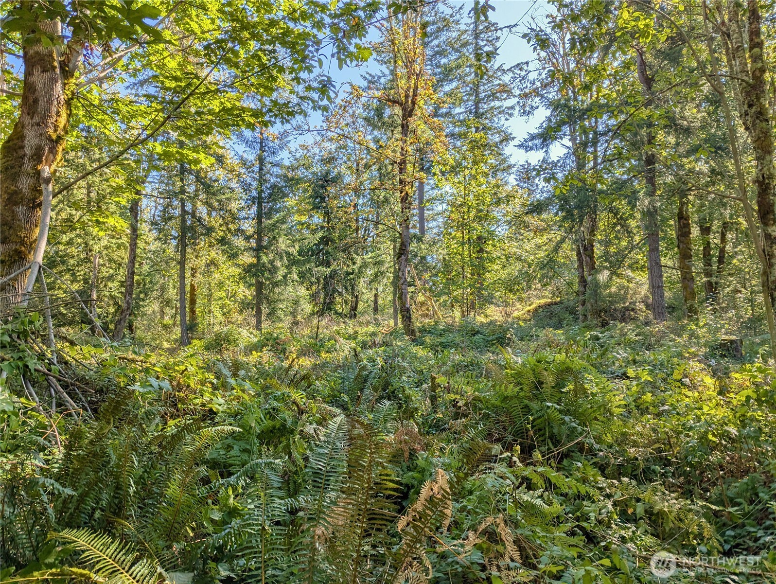 1110 350th Avenue SE, Snoqualmie, WA 98065