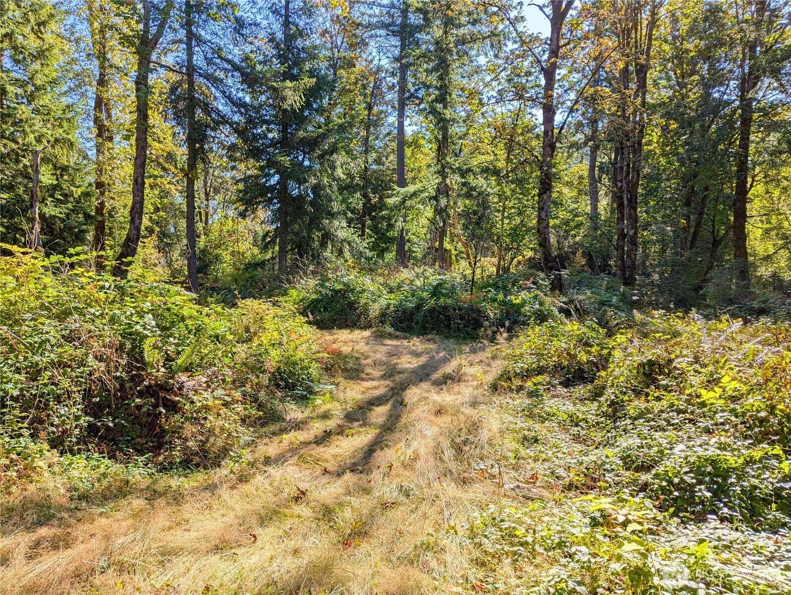 1110 350th Avenue SE, Snoqualmie, WA 98065