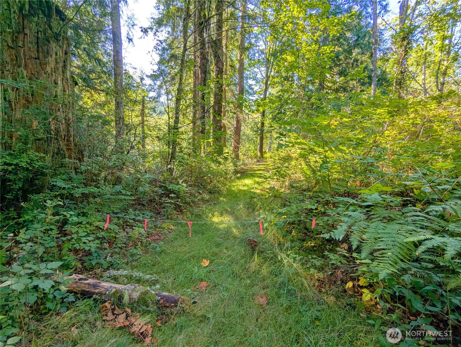 1110 350th Avenue SE, Snoqualmie, WA 98065